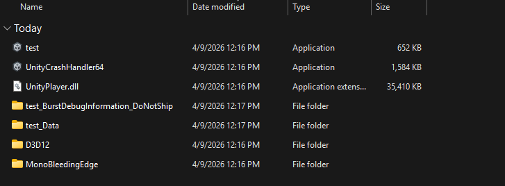 Project Build files Project Build files